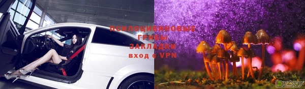 шишки Остров