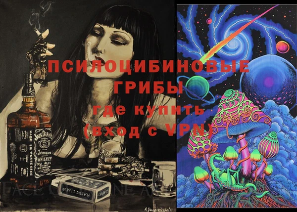 PSILOCYBIN Осташков