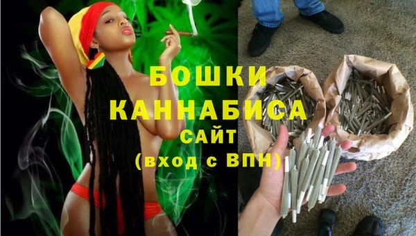МДПВ Струнино